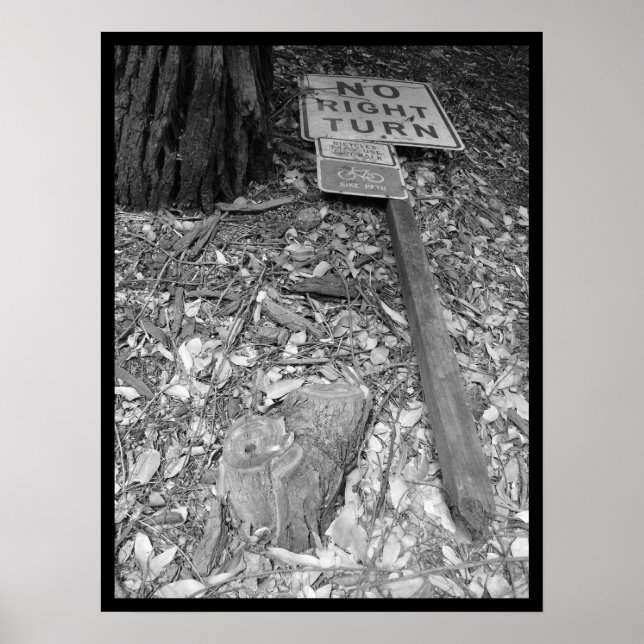 Poster não é a vez direita (Frente)