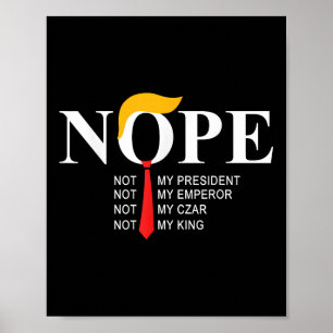 Poster Não É Meu Presidente Rei Engraçado