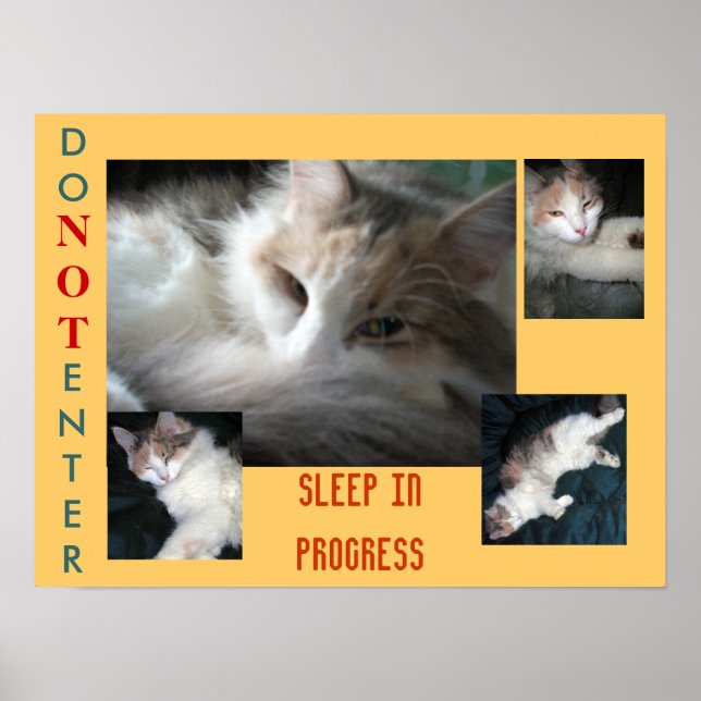 PÓSTER NÃO ENTRAR..... (Frente)