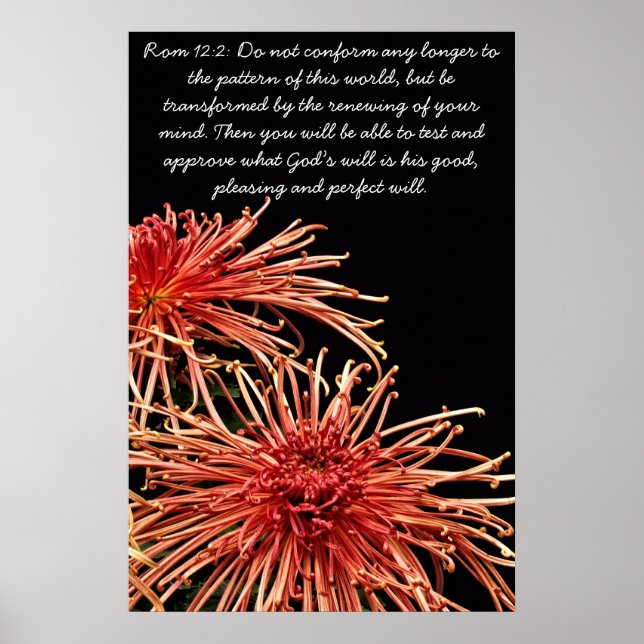 Póster Não está mais em conformidade (Frente)