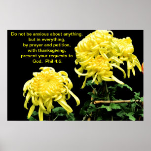 Poster Não esteja ansioso