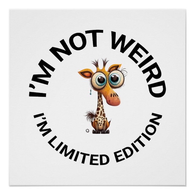PÓSTER NÃO ESTOU ESTRANHO, SOU UMA EDIÇÃO LIMITADA (Frente)