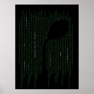Poster Não existe Spoon