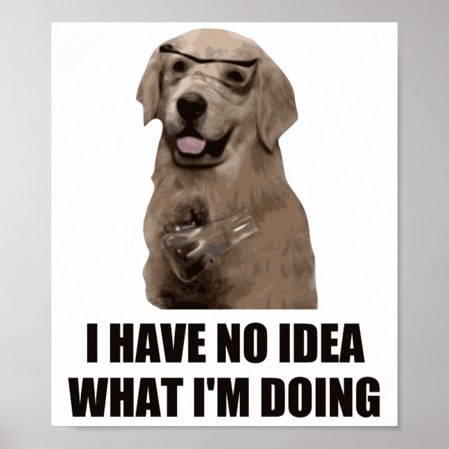 Poster Não faço ideia do que estou fazendo (Frente)