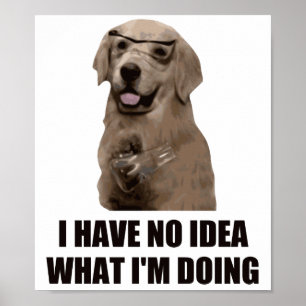 Poster Não faço ideia do que estou fazendo