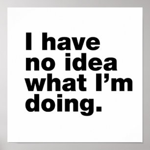 Poster Não faço ideia do que estou fazendo