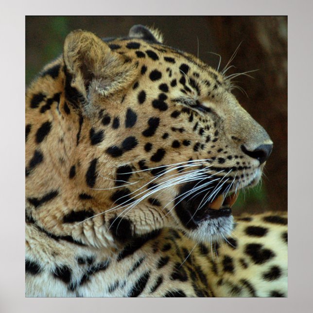 Poster Não feche os olhos em mim... (Frente)