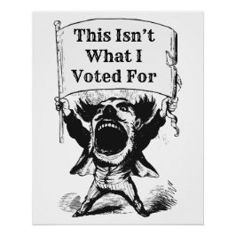 Póster Não foi por isso que votei