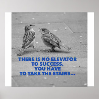 Póster Não há elevador para o sucesso - motivação
