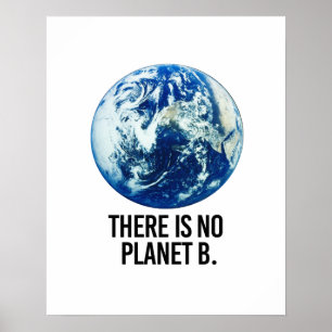 Poster Não há planeta B