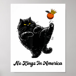 Poster Não Há Reis Na América Nós Somos A Política Pessoa