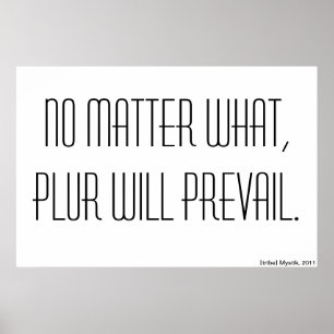 Póster Não importa o que