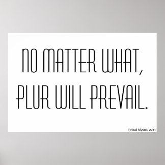 Póster Não importa o que