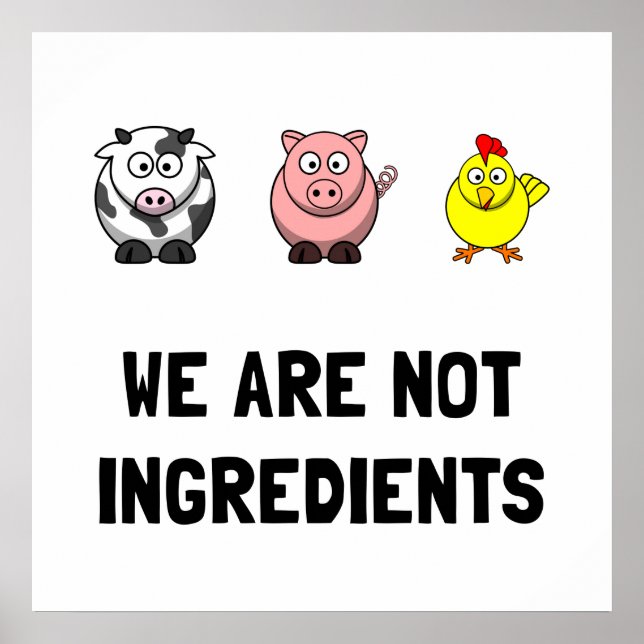 Poster Não Ingredientes (Frente)