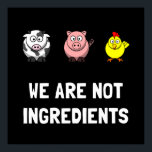 Póster Não Ingredientes<br><div class="desc">Os vegetarianos,  os cozinheiros vegetais e aqueles que não comem carne sabem que vacas,  galinhas e porcos não são ingredientes. Veja este design personalizado engraçado em camisetas,  camisas,  canecas,  pijamas,  presentes e roupa.</div>