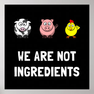Póster Não Ingredientes