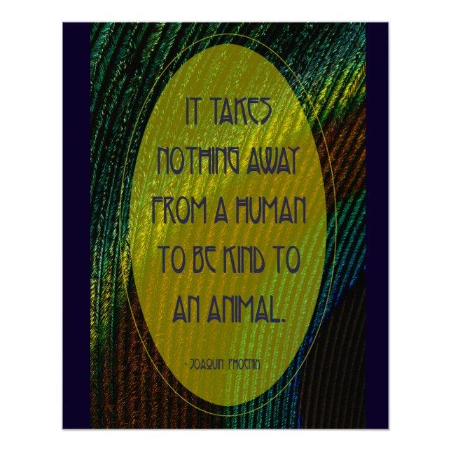 Póster Não Leva Nada (Frente)