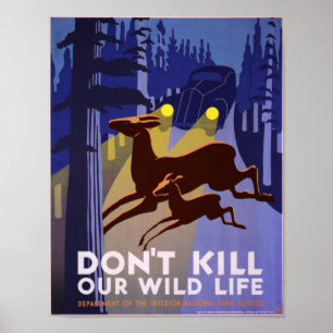 Póster Não Matar nossa vida selvagem