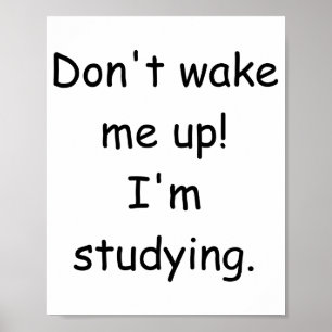 Poster Não Me Acordem Estou Estudando 
