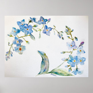 Poster Não me esqueça