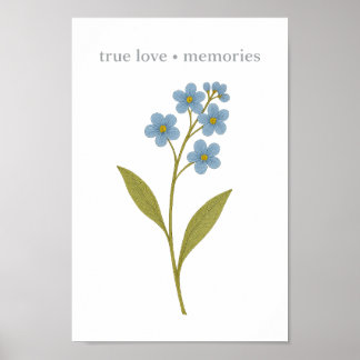 Poster Não-me-esqueças — Amor verdadeiro, memórias