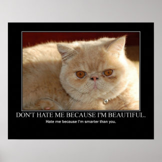 Póster Não me odeie... Trabalho de arte de gato engraçado