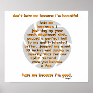 Póster Não me odeie VOLLEYBALL