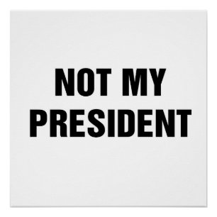 Póster Não Meu Presidente