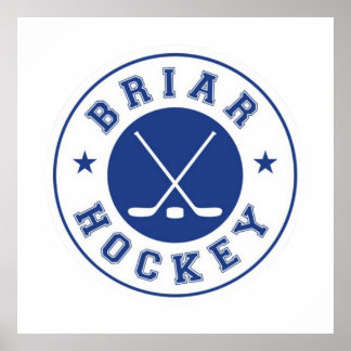 Poster NÃO OFICIAL Briar U Hockey | Fora do Campus 