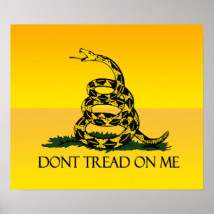 Poster Não pise em mim a bandeira