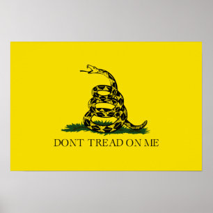 Póster Não pisque em mim, Gadsden American Flag