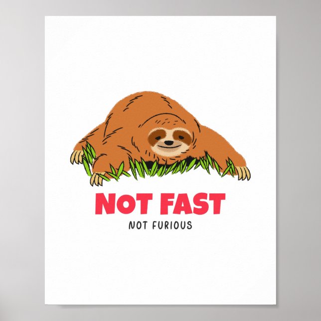 Poster Não Rápido Não Furioso (Frente)