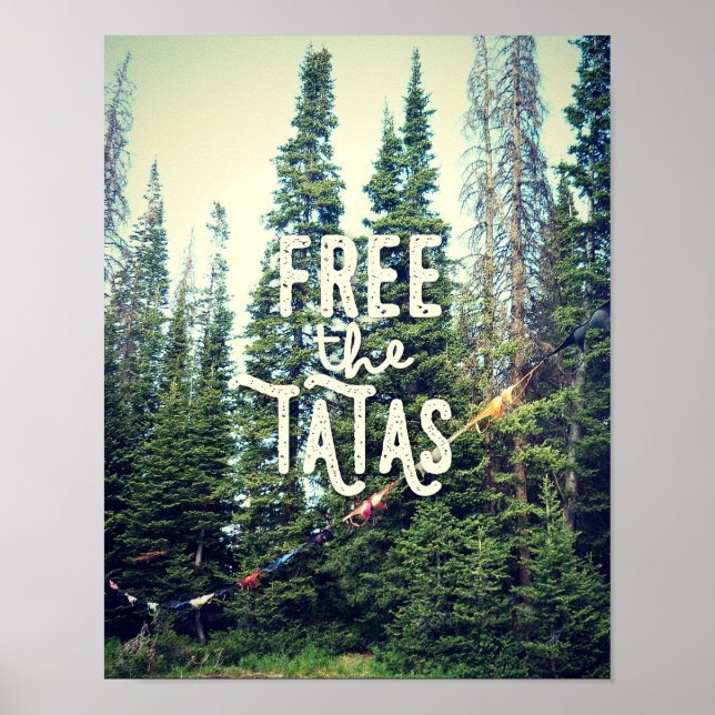 Póster Não São Permitidos Bras Na Floresta (Frente)