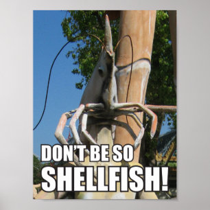 PÓSTER NÃO SEJA TÃO PESCADO! MEME