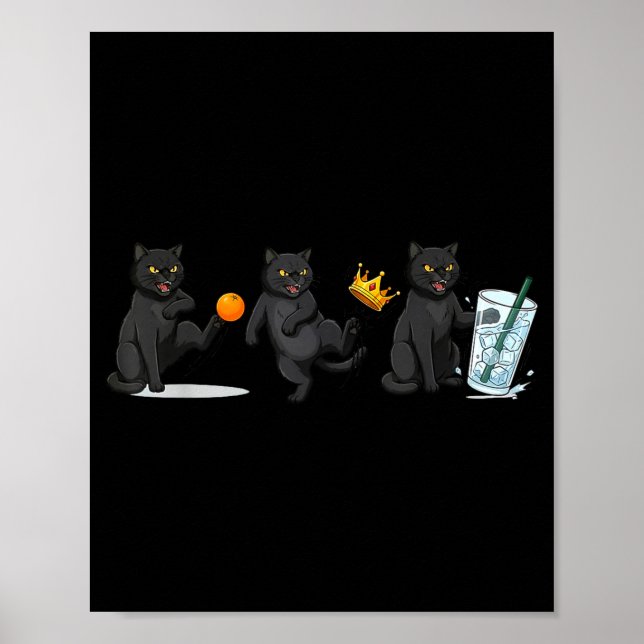 Poster Não, sem reis, sem gelo, gato engraçado meme polít (Frente)