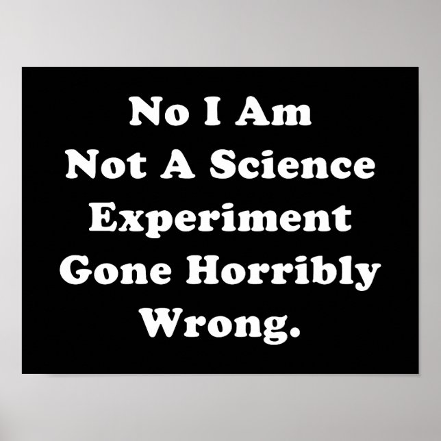 Poster Não Sou Um Experimento Científico Que Deu Errado (Frente)