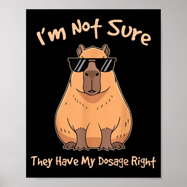 Poster Não Tenho Certeza da Dosagem Certa Capivara (Frente)