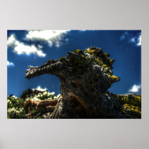 Poster Não uma cabra