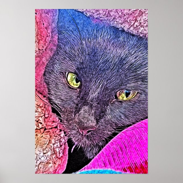 Poster Napoleão em um cobertor (Frente)