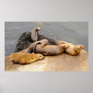 Poster Nápoles para o Mar dos Bebês