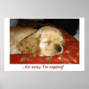 Póster Napping
