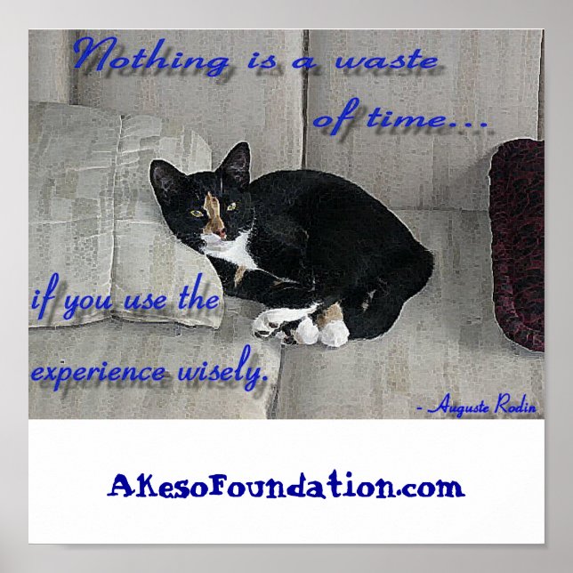 Poster Naps de Gato (Frente)