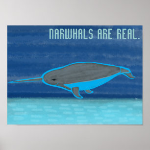 Póster Narbalas são reais