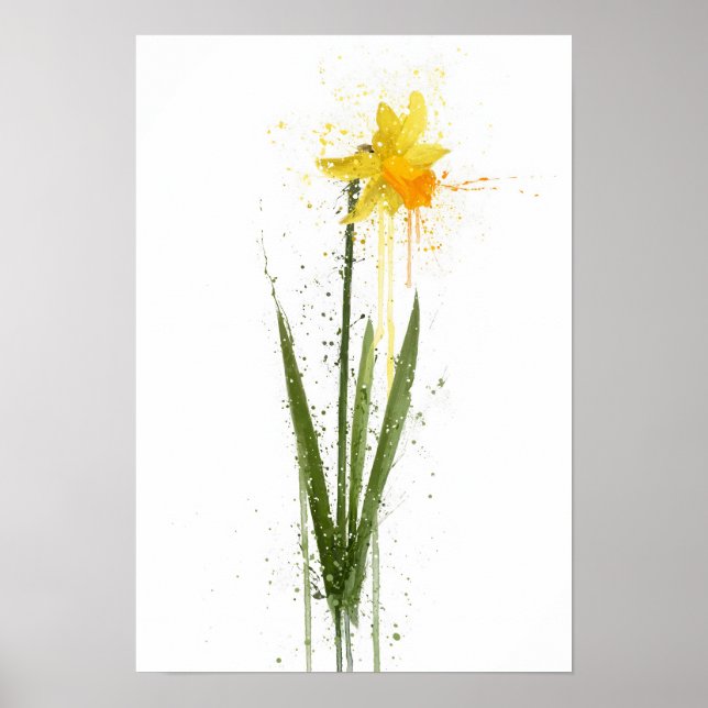 Poster Narciso (Frente)