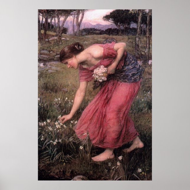 Poster Narciso por John William Waterhouse - 1912 (Frente)
