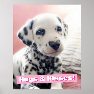 Poster Nariz de Coração Dalmata