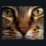 Poster nariz de gato bonito e olho na frente. Animais de<br><div class="desc">nariz de gato marrom e olho na frente. O animal de estimação parece poster de fundo tranquilo.</div>