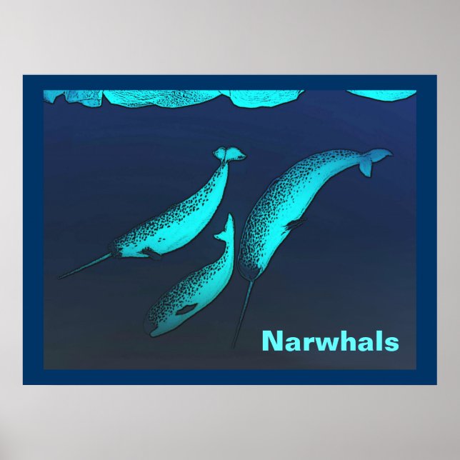 Póster Narwhal (Frente)