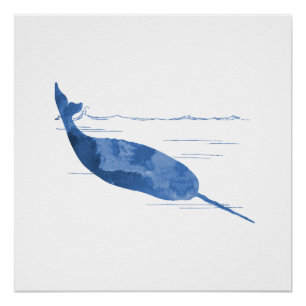 Póster Narwhal