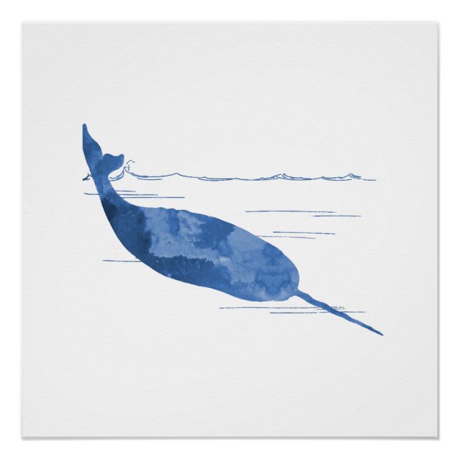 Póster Narwhal (Frente)